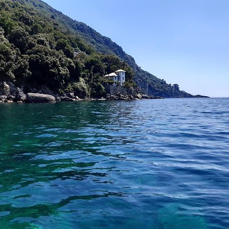 Villa Albachiara カモーリ エクステリア 写真