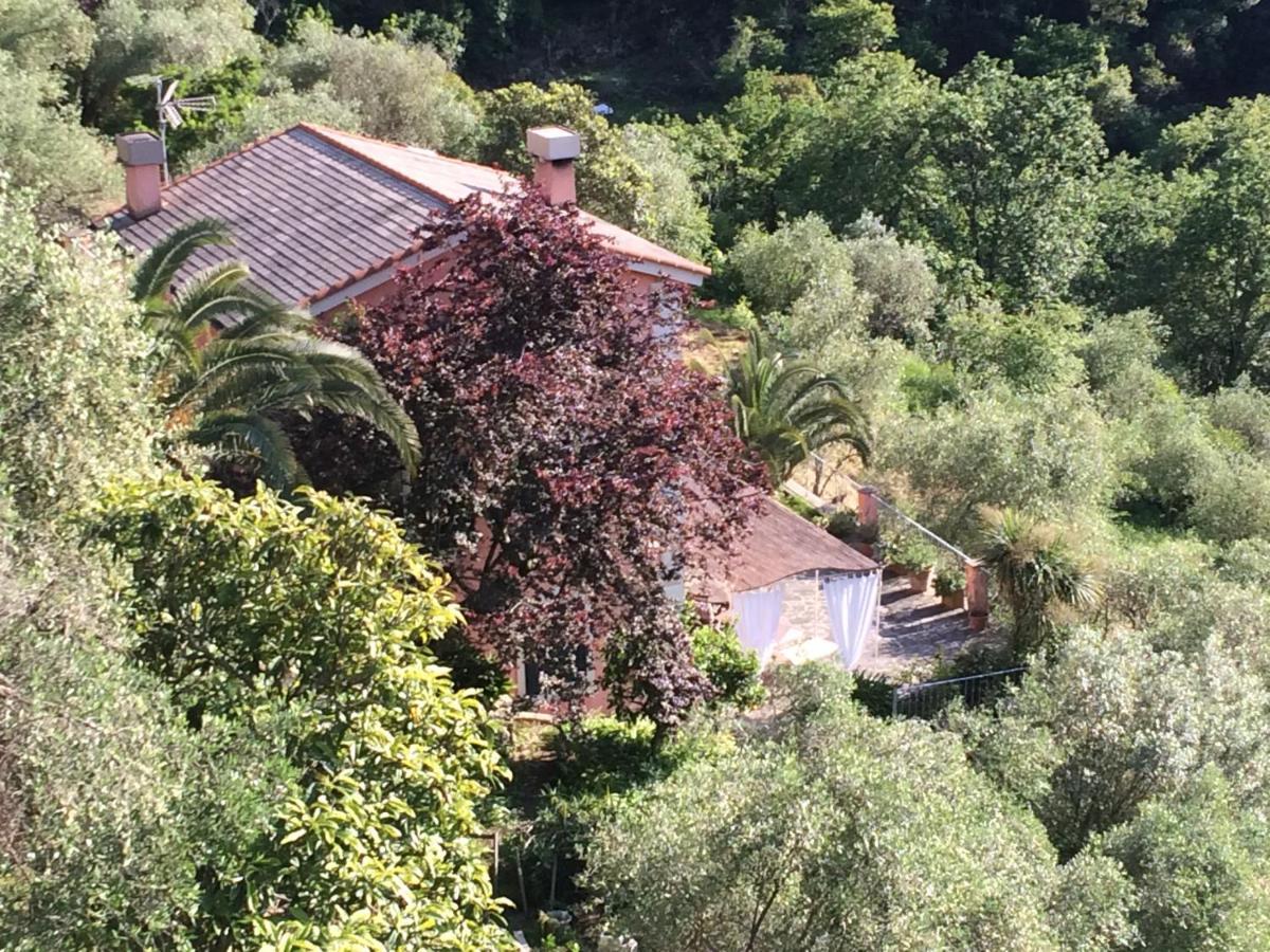 Villa Albachiara カモーリ エクステリア 写真