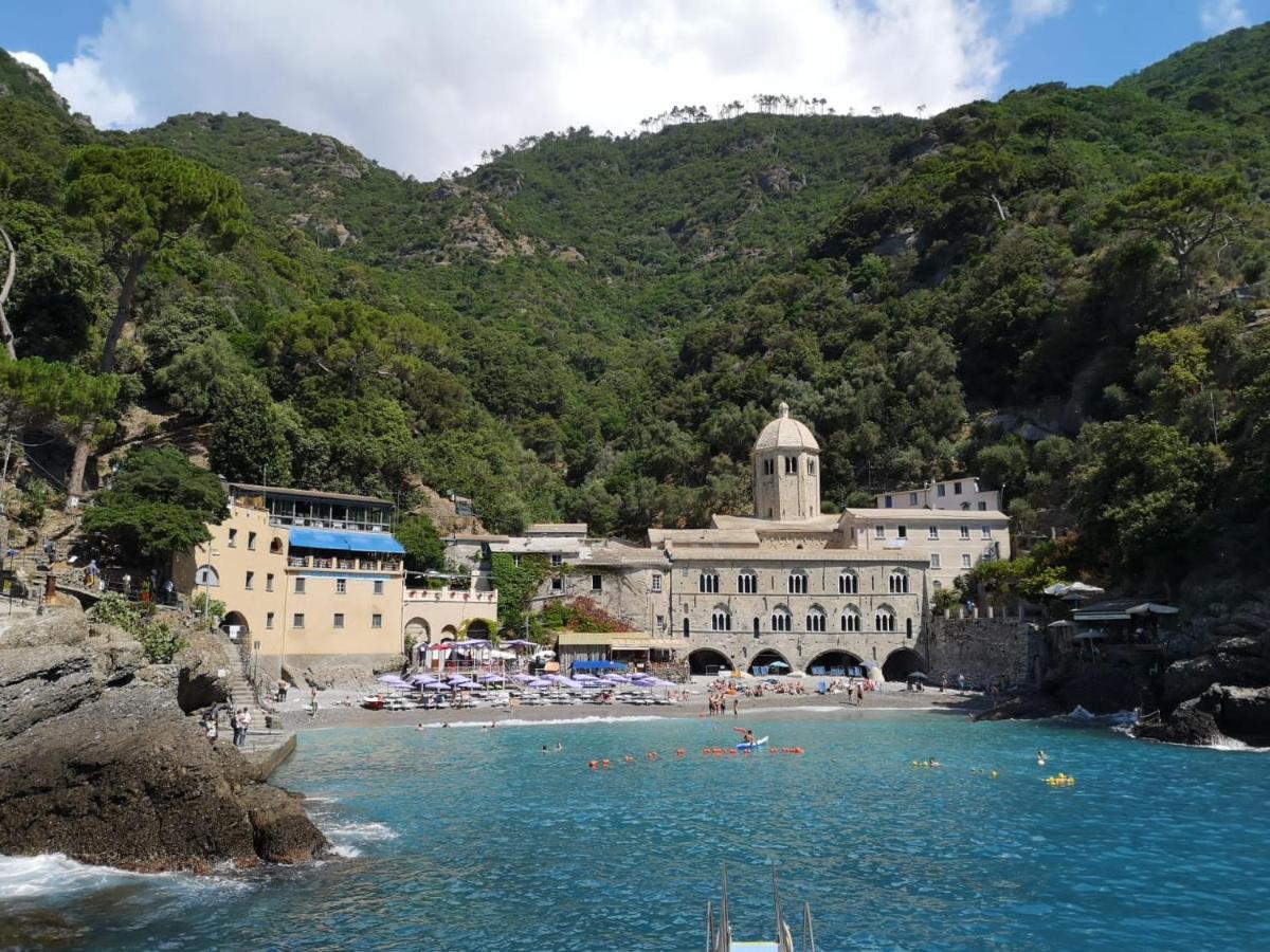 Villa Albachiara カモーリ エクステリア 写真