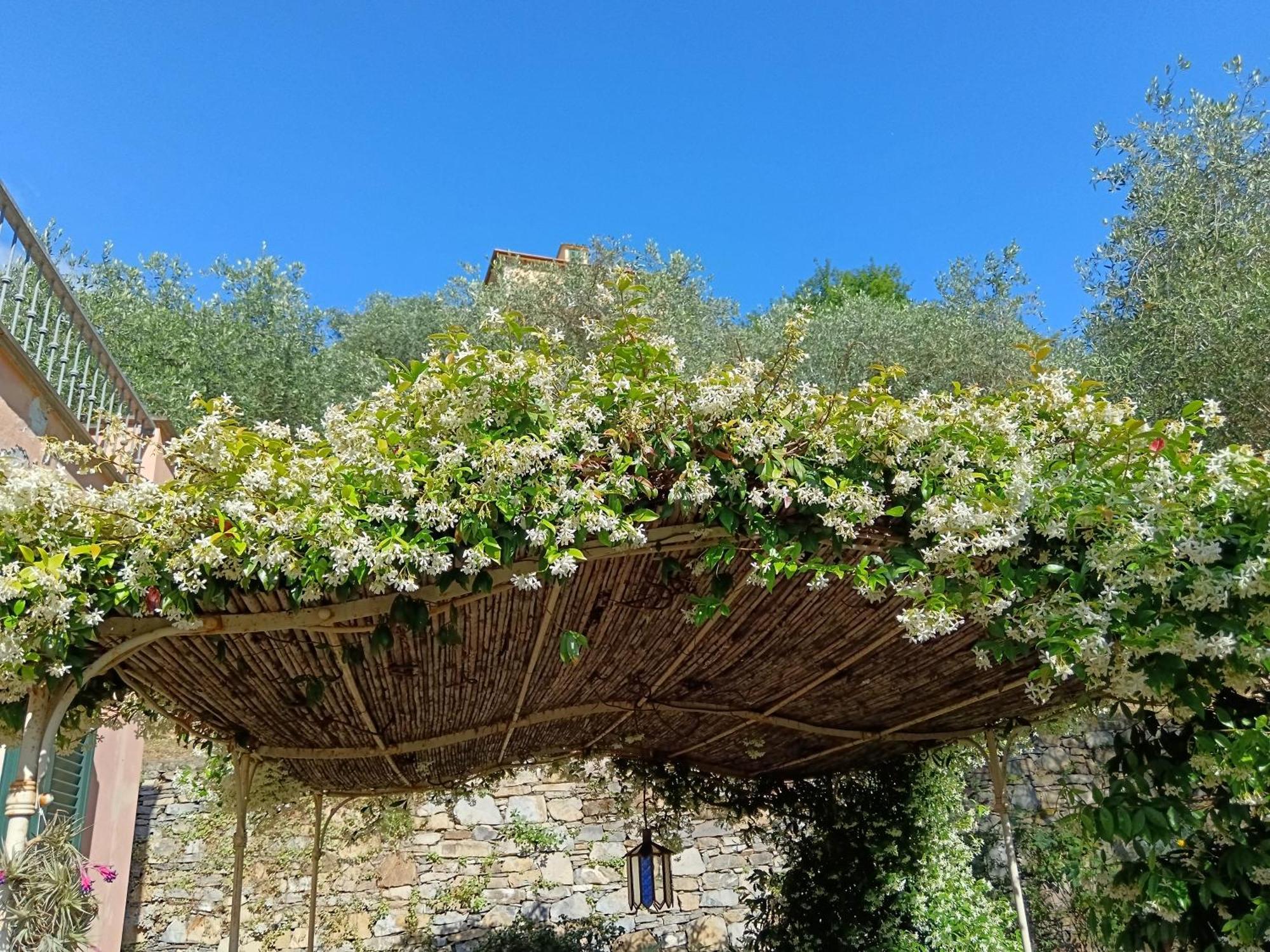 Villa Albachiara カモーリ エクステリア 写真