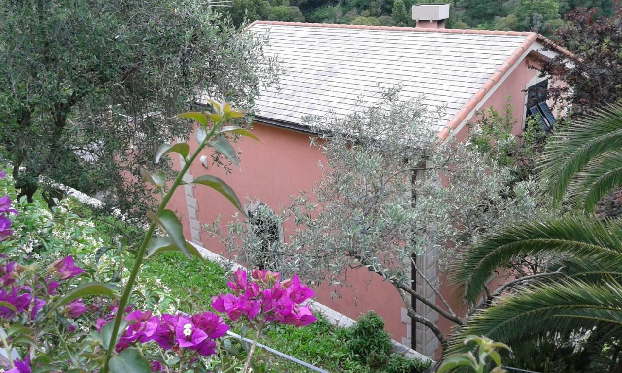 Villa Albachiara カモーリ エクステリア 写真