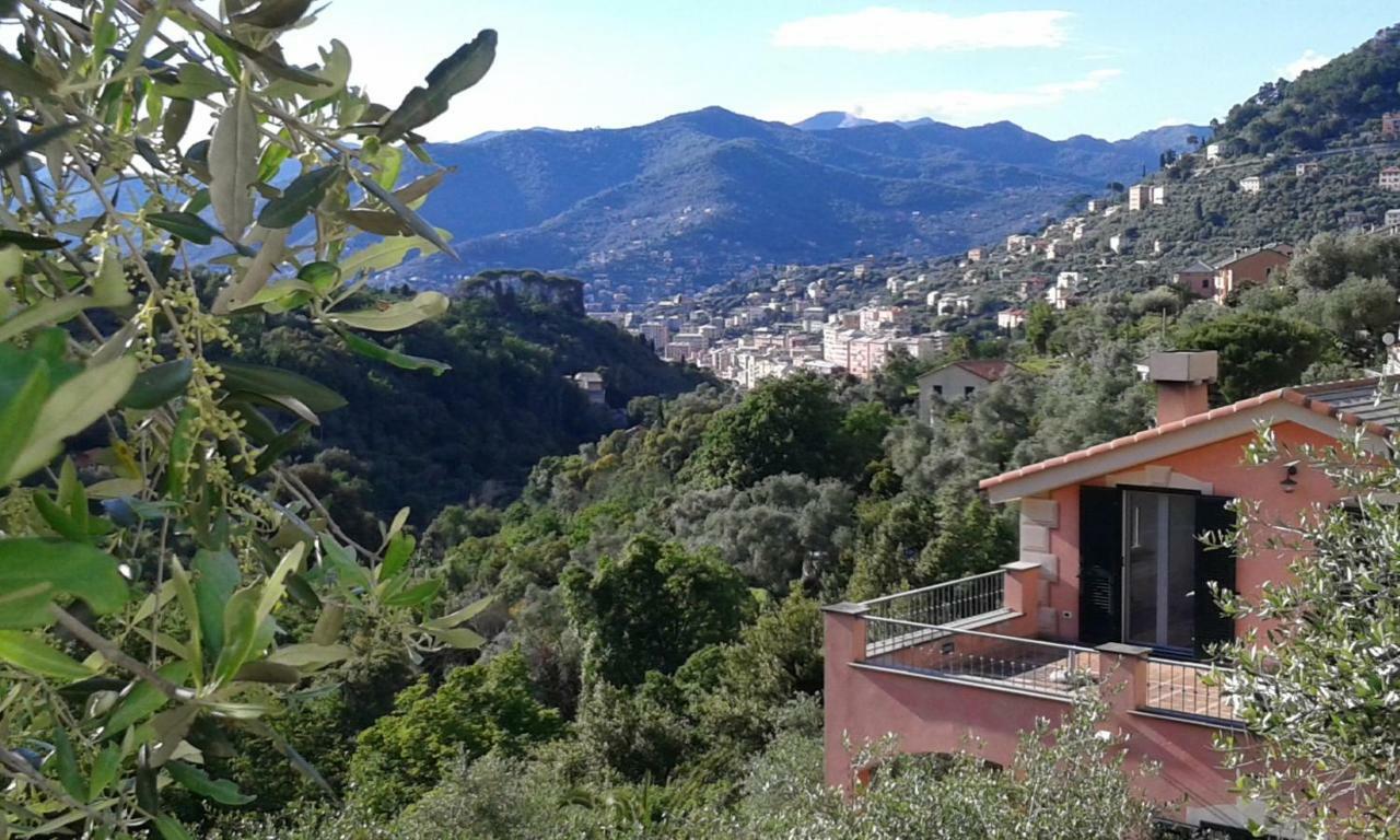 Villa Albachiara カモーリ エクステリア 写真