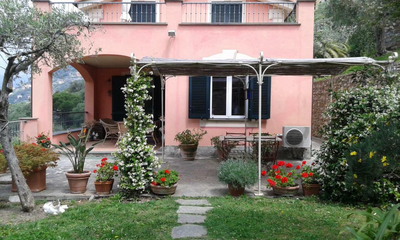 Villa Albachiara カモーリ エクステリア 写真